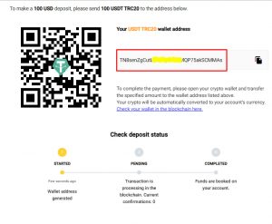 deposit vie telegram crypto wallet step 11