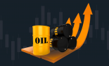 Oil-growth-daily-analytics