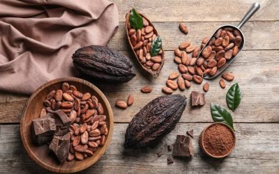 cacao trading